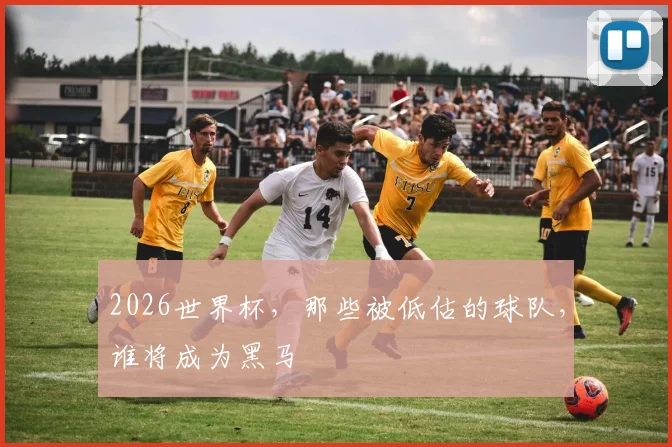 2026世界杯，那些被低估的球队，谁将成为黑马