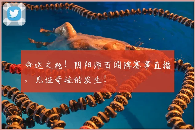 命运之轮！阴阳师百闻牌赛事直播，见证奇迹的发生！